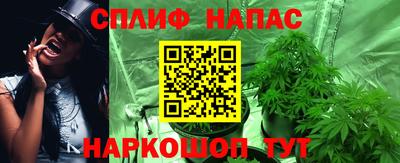 индика Пугачёв