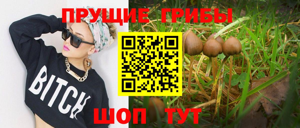 Псилоцибиновые грибы мухоморы  Галлюциногенные грибы мухоморы  Сарапул  Вход с VPN 